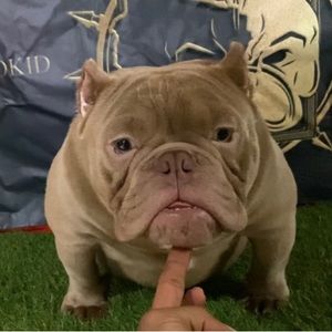 Meet your Posher, Davis